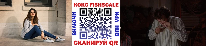 Cocaine Fish Scale  Купить закладки  Новоуральск 
