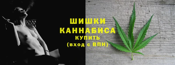 прущие грибы Ладушкин