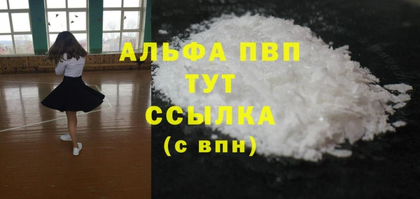 прущие грибы Ладушкин