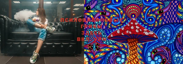 прущие грибы Ладушкин