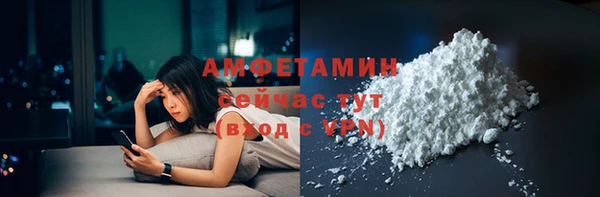 прущие грибы Ладушкин