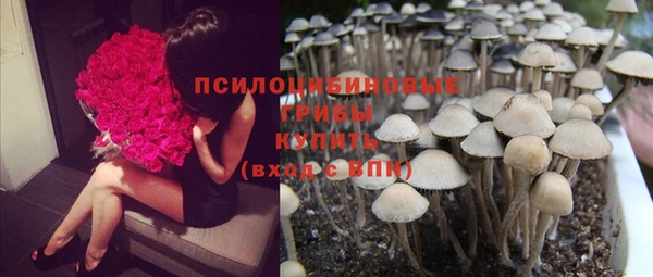 марки lsd Лабытнанги